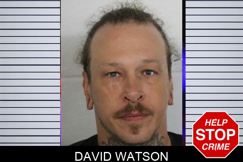 David Watson Mugshots