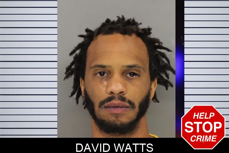 David Watts mugshot