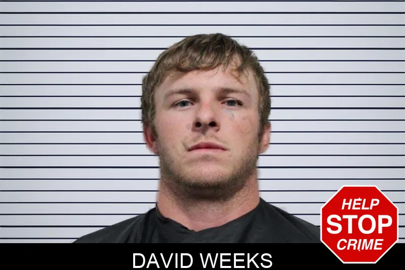 David Weeks Mugshots