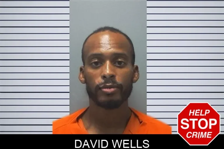 David Wells mugshot – Cherokee County , Georgia David Wells