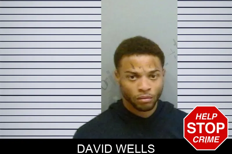 David Wells mugshot