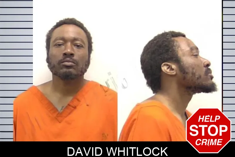 David Whitlock Mugshots
