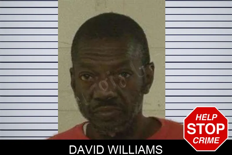 David Williams mugshot – Liberty County , Georgia David Williams mugshot