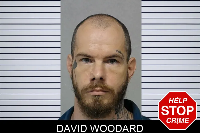 David Woodard Mugshots