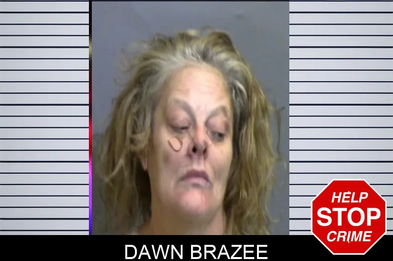 Dawn Brazee