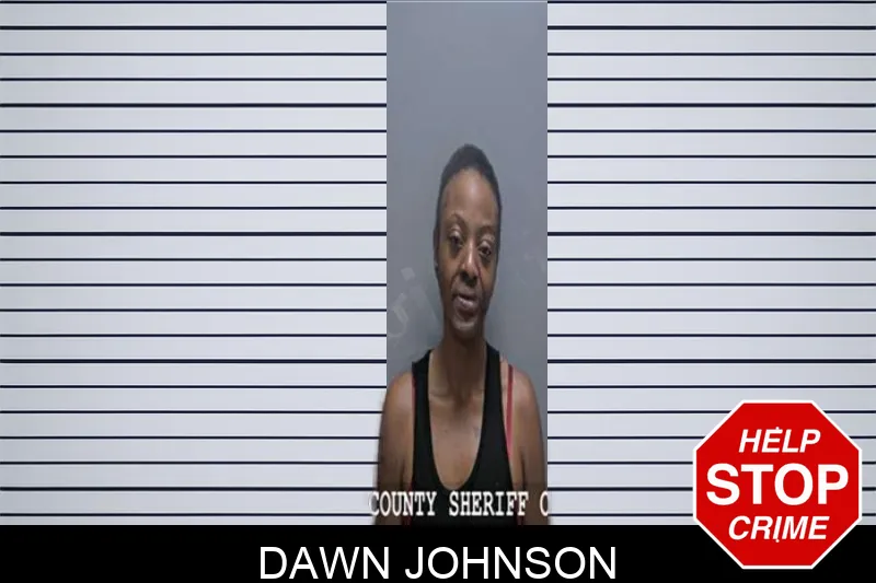 Dawn Johnson