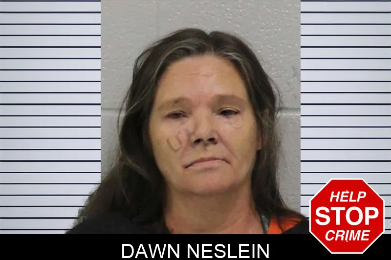 Dawn Neslein mugshot – Carroll County , Georgia Dawn Neslein mugshot