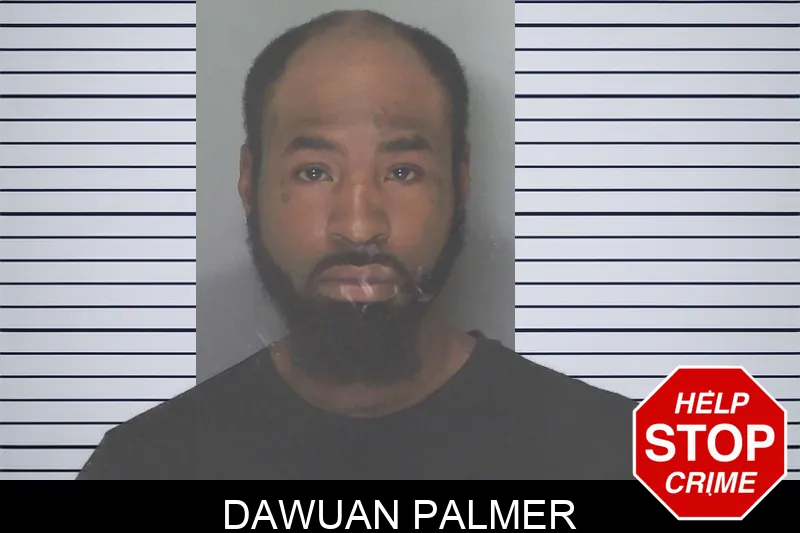 Dawuan Palmer Mugshots