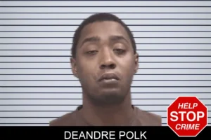 Deandre Polk mugshot