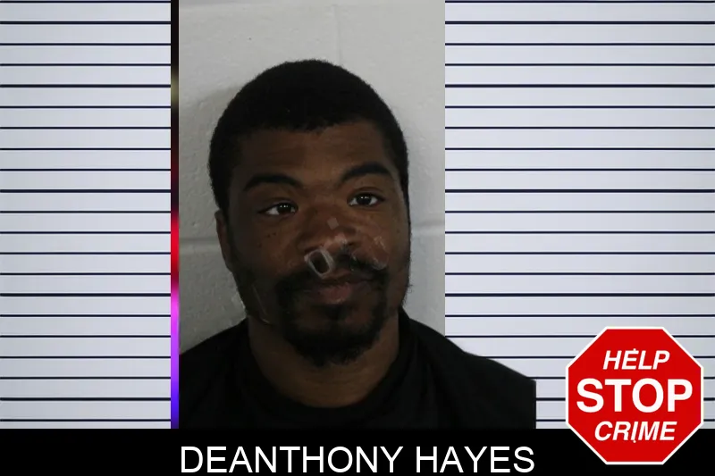 Deanthony Hayes Mugshots