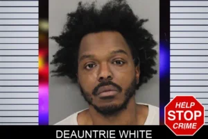 Deauntrie White mugshot