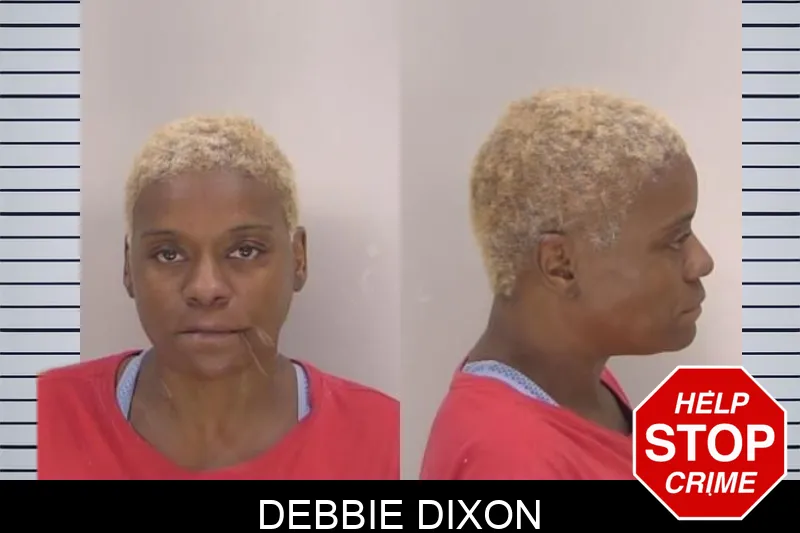 Debbie Dixon mugshot