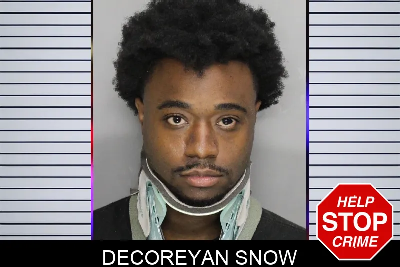 Decoreyan Snow