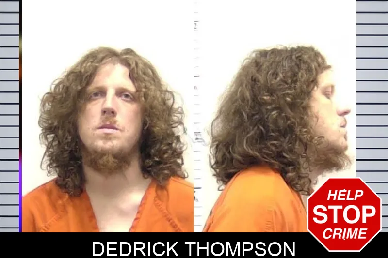 Dedrick Thompson Mugshots