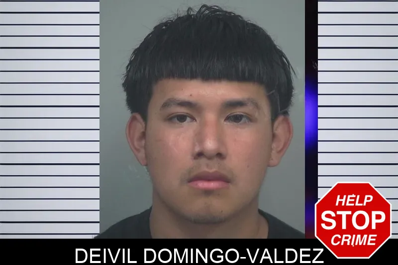 Deivil Domingo-Valdez Mugshots