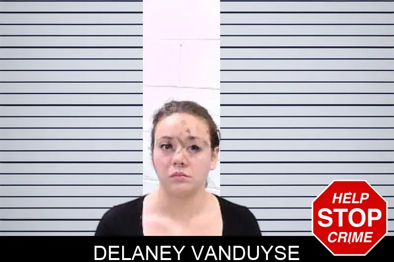 Delaney Vanduyse mugshot – Fulton County , Georgia Delaney Vanduyse mugshot