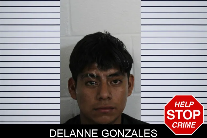 Delanne Gonzales Mugshots