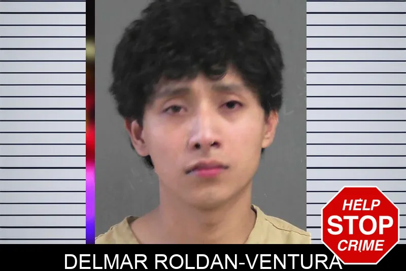 Delmar Roldan-Ventura