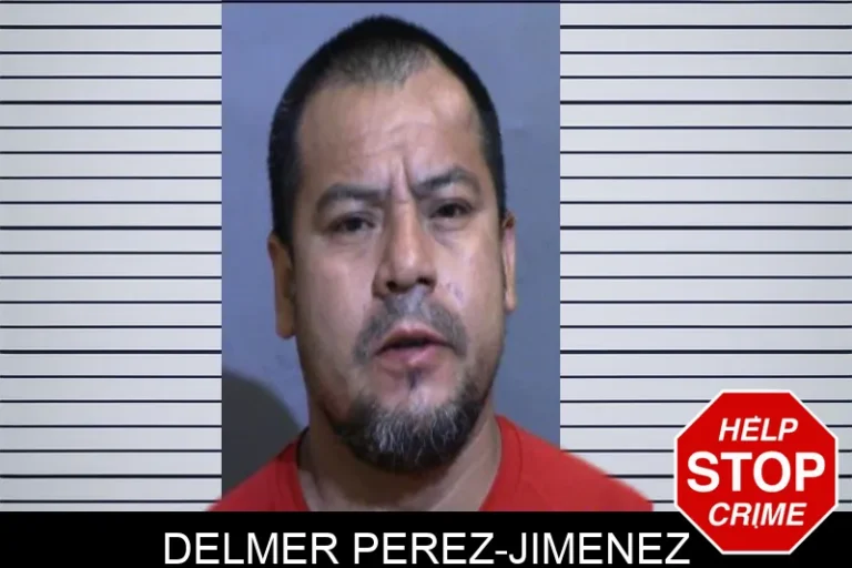 Delmer Perez-Jimenez