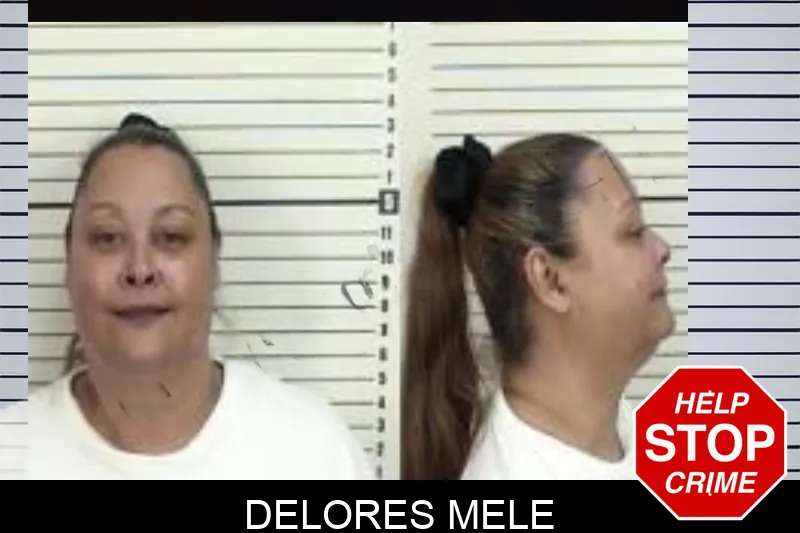Delores Mele Mugshots