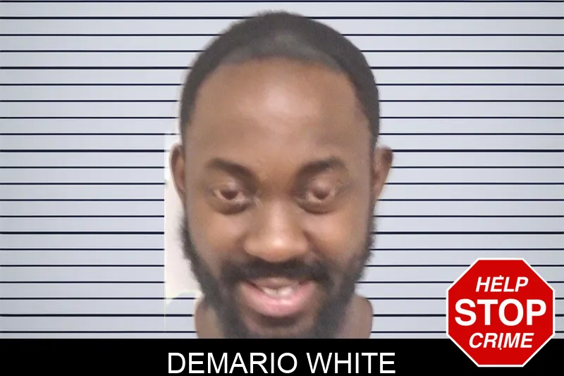 Demario White Mugshots