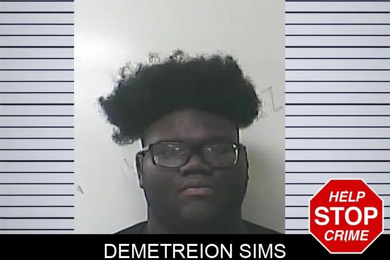 Demetreion Sims Mugshots
