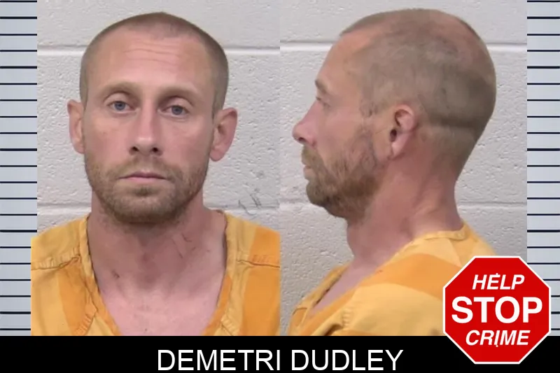 Demetri Dudley Mugshots