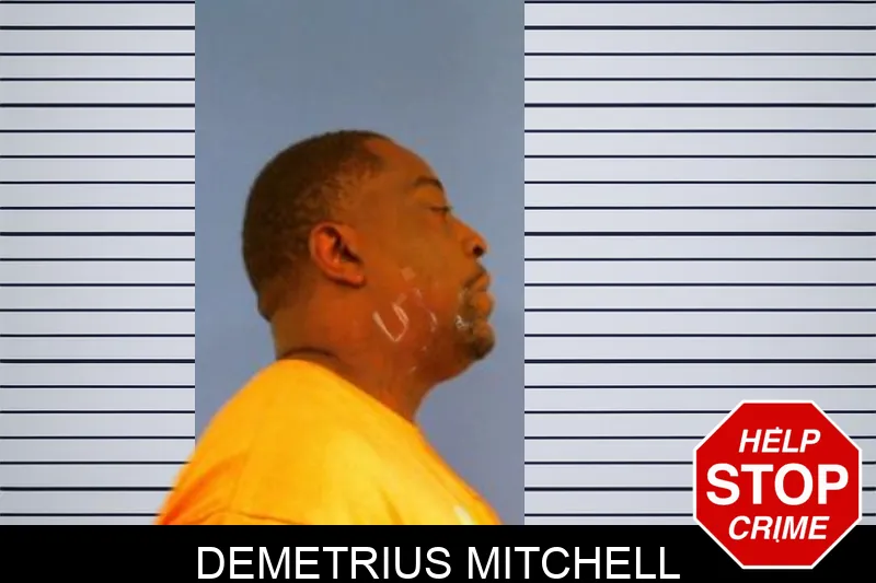 Demetrius Mitchell Mugshots