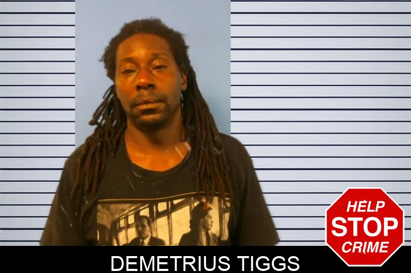 Demetrius Tiggs mugshot