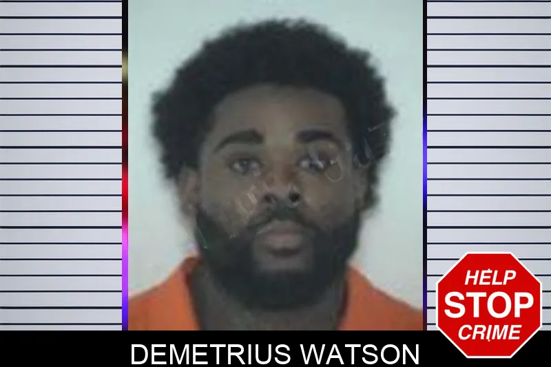 Demetrius Watson Mugshots