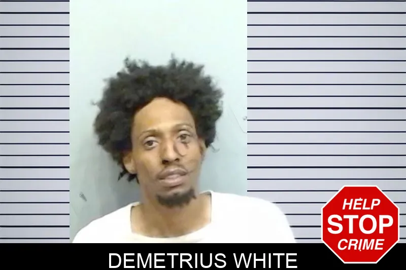 Demetrius White mugshot – Fulton County , Georgia Demetrius White mugshot