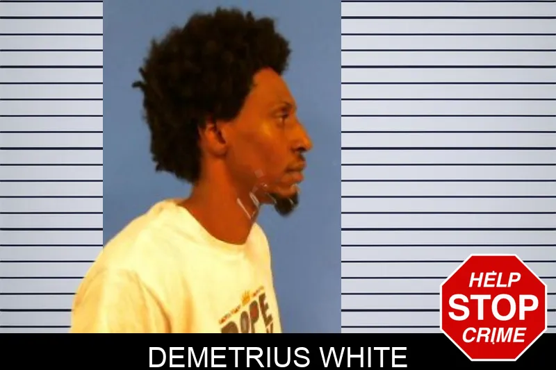 Demetrius White Mugshots