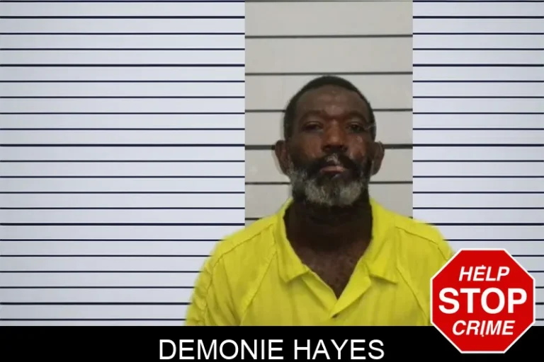 Demonie Hayes