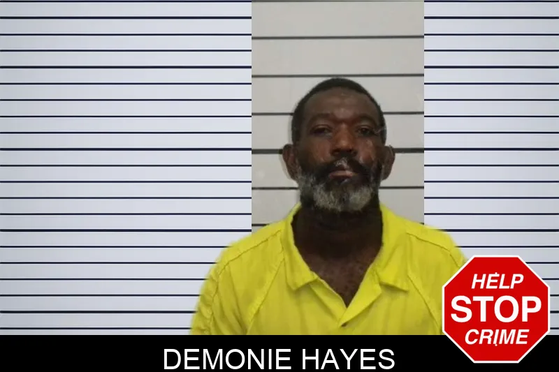 Demonie Hayes Mugshots