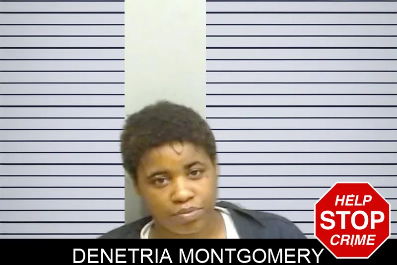 Denetria Montgomery mugshot – Fulton County , Georgia Denetria Montgomery mugshot