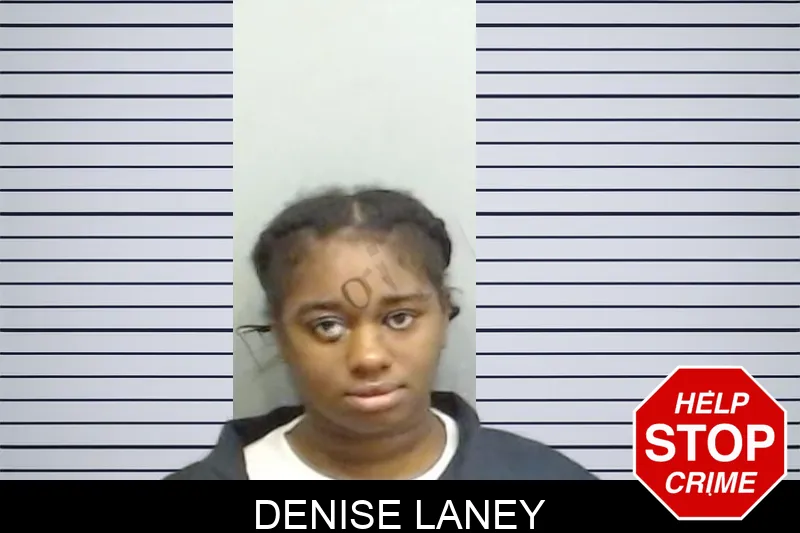 Denise Laney Mugshots