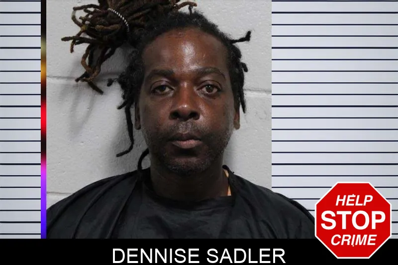 Dennise Sadler Mugshots