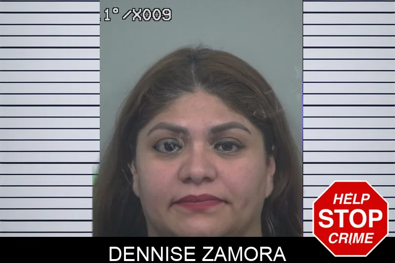 Dennise Zamora Mugshots