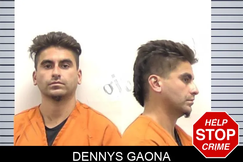 Dennys Gaona mugshot