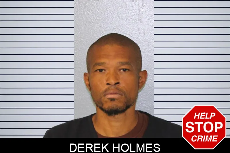 Derek Holmes Mugshots