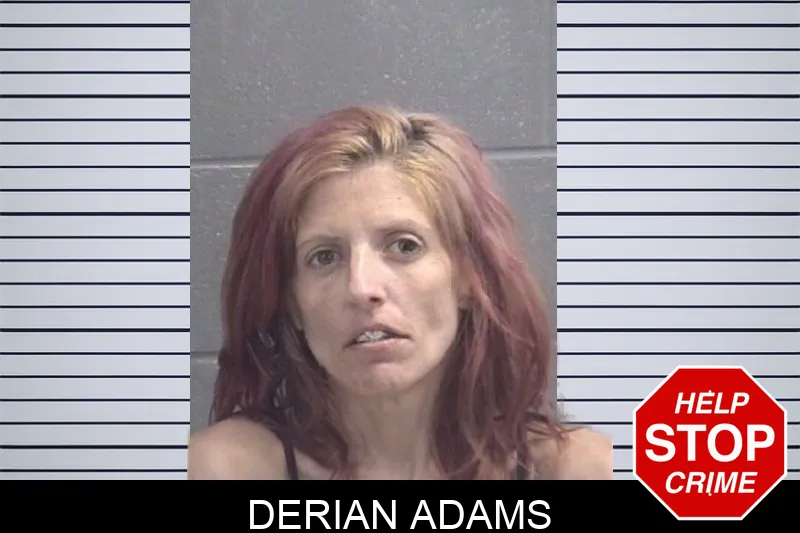 Derian Adams Mugshots