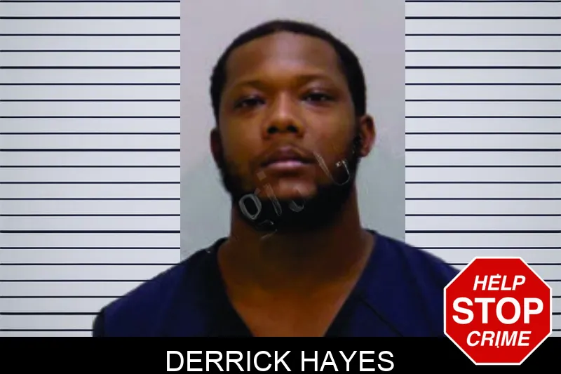 Derrick Hayes mugshot