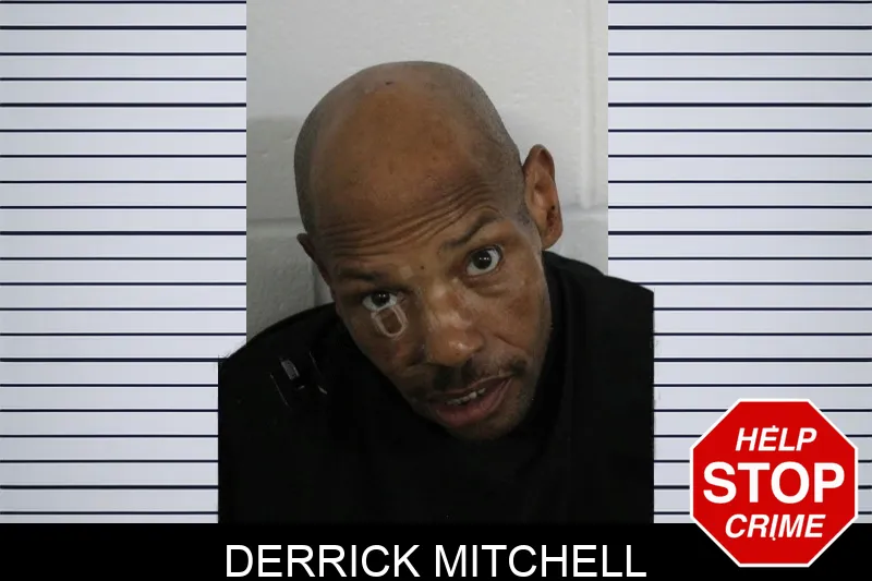 Derrick Mitchell Mugshots