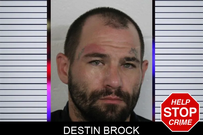 Destin Brock Mugshots