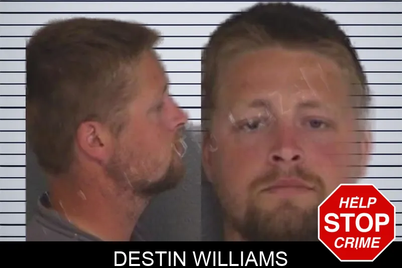 Destin Williams Mugshots