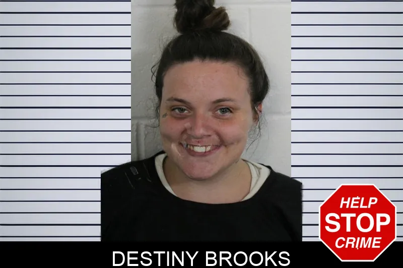 Destiny Brooks Mugshots