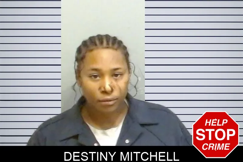 Destiny Mitchell Mugshots