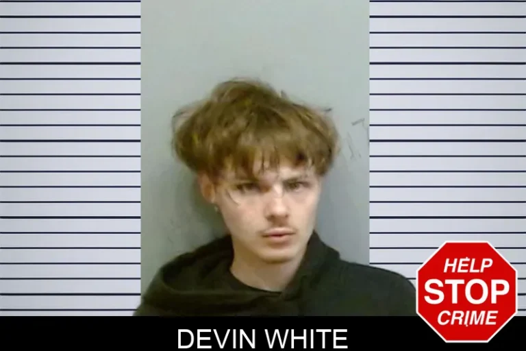 Devin White mugshot – Fulton County , Georgia Devin White