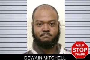 Dewain Mitchell mugshot