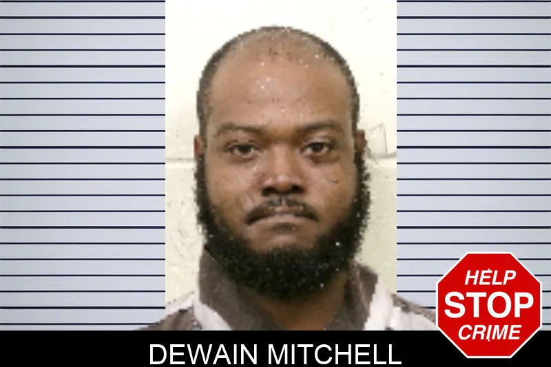 Dewain Mitchell Mugshots